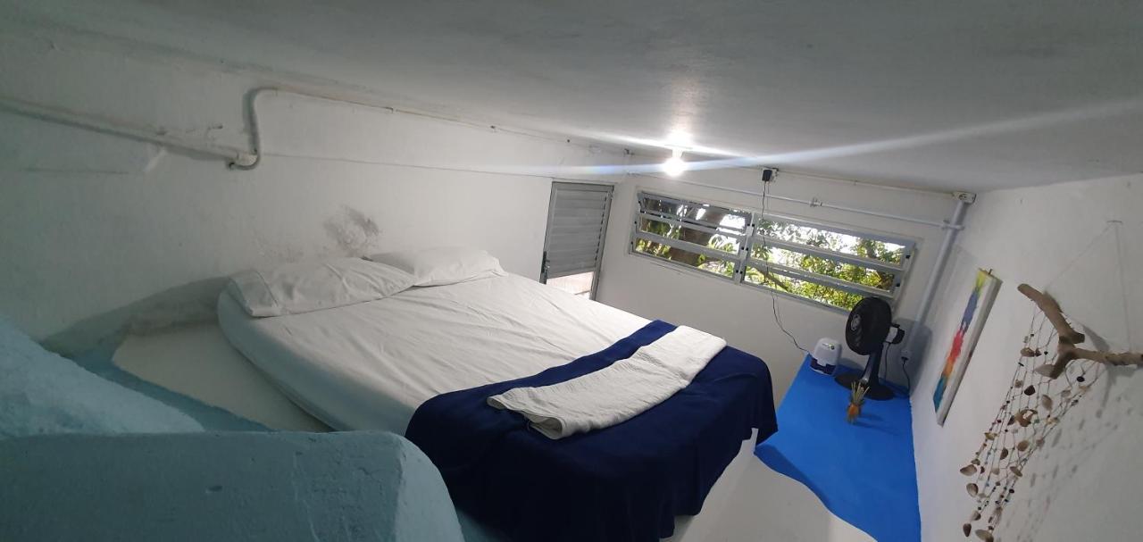 Hostel Farol Da Barra Floripa Florianópolis 外观 照片